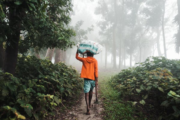 পরিবেশ