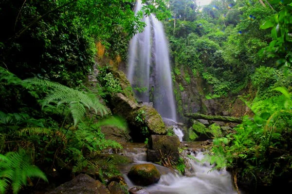 বেকিং সোডা উপকারিতা কি