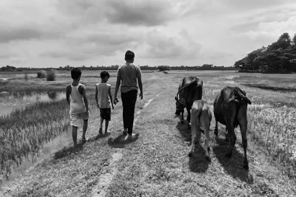 শৈশবের স্মৃতি