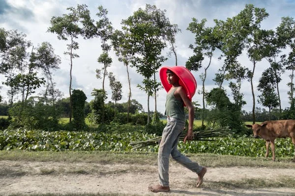 টেপা টেপির গল্প