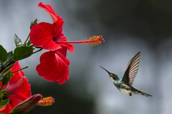 মাত্র ১৫ দিনে ফর্সা ত্বক