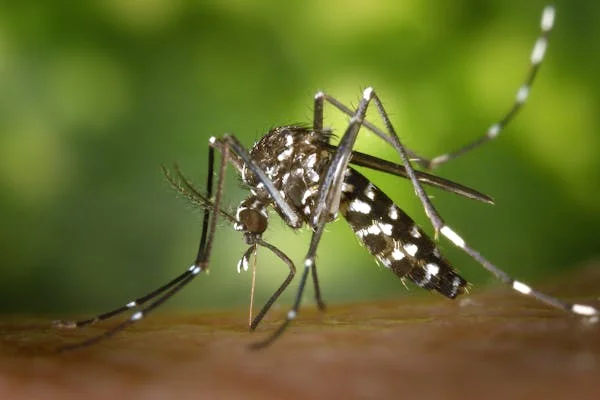 জ্বর কেন হয়