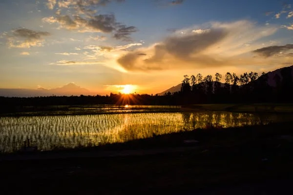কাশ্মীরে নিহত ২৬ জন