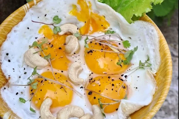 গাট ও লিভার ডিটক্স সুস্থতার নবজাগরণ