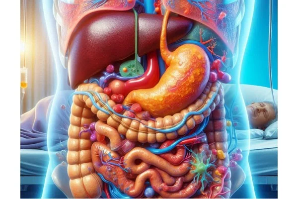 গাট ও লিভার ডিটক্স সুস্থতার নবজাগরণ