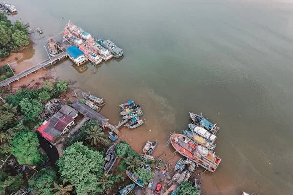 পৃথিবীর সেরা ধনী মানসা মুসা