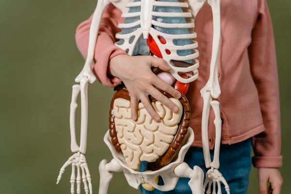 পেট ঠিক তো দুনিয়া