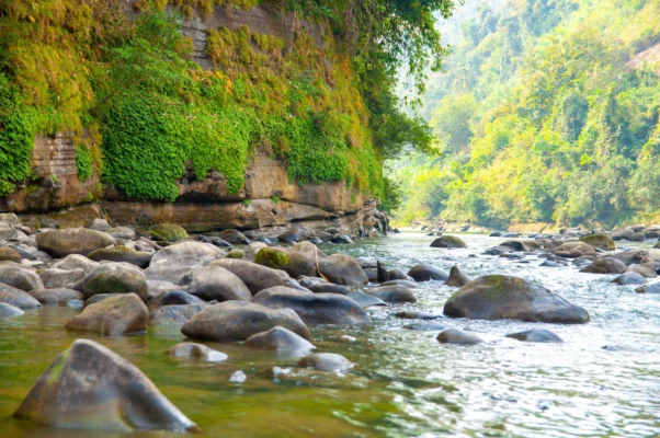 মোনামির মদপান এবং সীমালঙ্ঘন