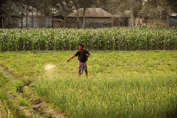 ক্ষতিকর কেমিক্যাল